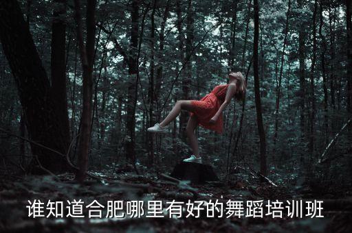 合肥舞蹈艺考培训哪家好，合肥哪里有好一点的舞蹈艺考辅导班