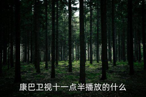 十一点半舞蹈讲的什么，康巴卫视十一点半播放的什么