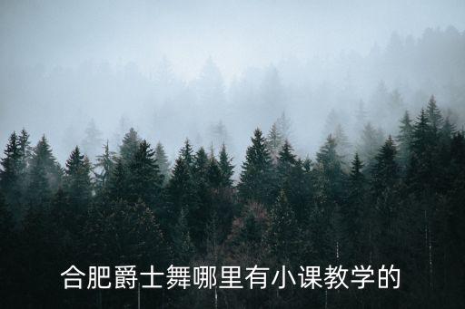 合肥爵士舞哪里有小课教学的