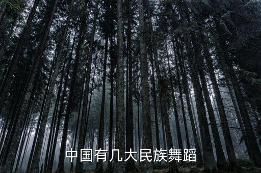 中国有几大民族舞蹈
