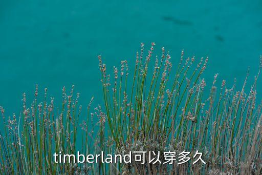 timberland可以穿多久