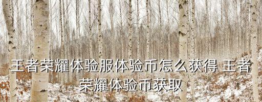 王者荣耀体验服体验币怎么获得 王者荣耀体验币获取