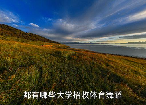 都有哪些大学招收体育舞蹈