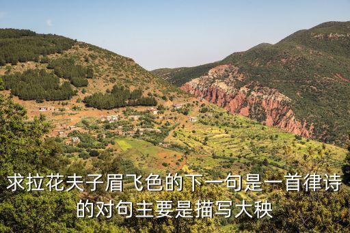 拉花舞蹈是什么样子，求拉花夫子眉飞色的下一句是一首律诗的对句主要是描写大秧