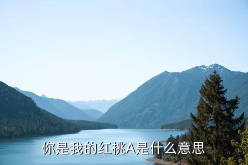 你是我的红桃A是什么意思