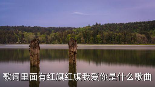 歌词里面有红旗红旗我爱你是什么歌曲