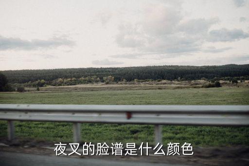 夜叉的脸谱是什么颜色