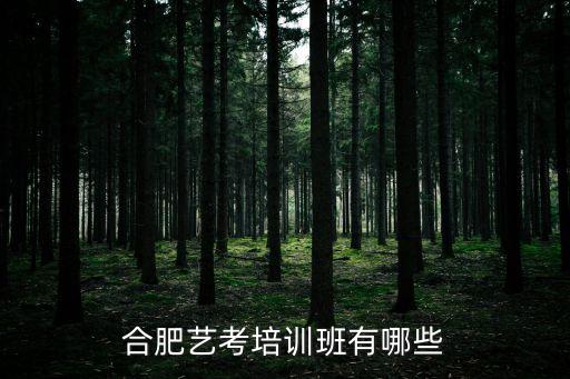 合肥艺考培训班有哪些