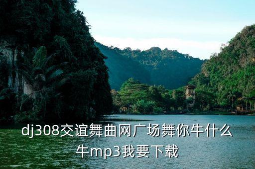 新梅广场舞牛什么牛，广场舞你牛甚么牛mp3