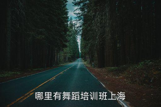 上海哪里有高档舞蹈班，哪里有舞蹈培训班上海