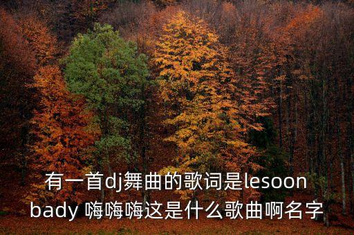 有一首dj舞曲的歌词是lesoonbady 嗨嗨嗨这是什么歌曲啊名字