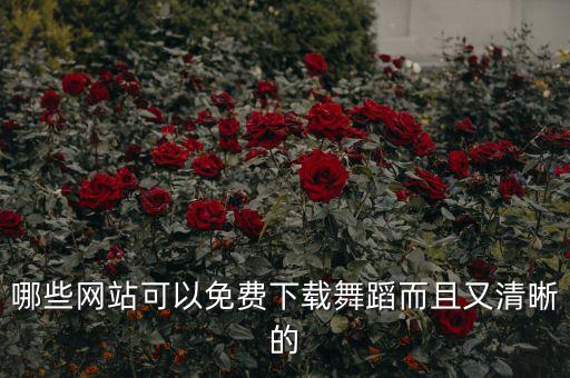 哪些网站可以免费下载舞蹈而且又清晰的