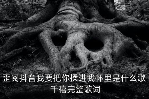 歪阅抖音我要把你揉进我怀里是什么歌 千禧完整歌词