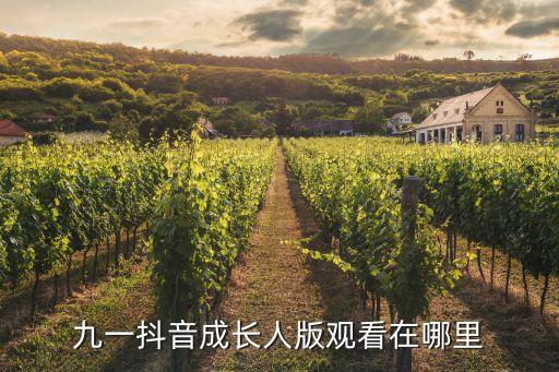 九一抖音成长人版观看在哪里