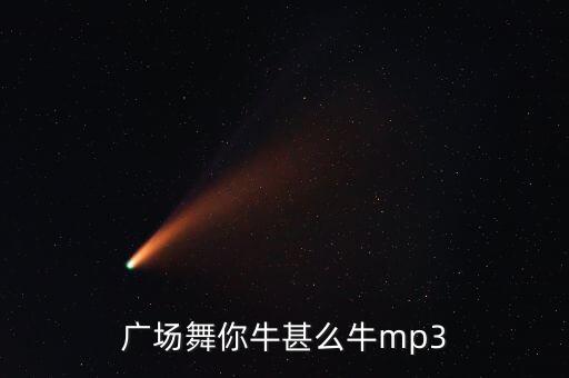 广场舞你牛甚么牛mp3