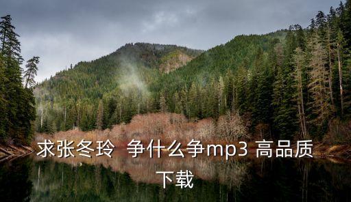 争什么争dj，你抢什么抢你争什么争求歌名