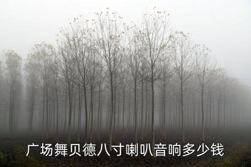 手提式广场舞音响价格，广场舞贝德八寸喇叭音响多少钱