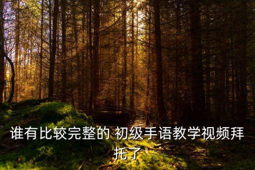 谁有比较完整的 初级手语教学视频拜托了