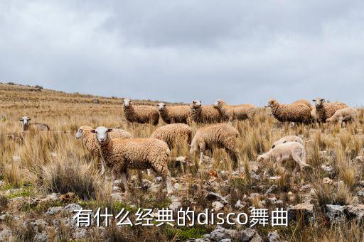 经典好听的国标摩登舞曲有哪些，有什么好听的国标舞曲