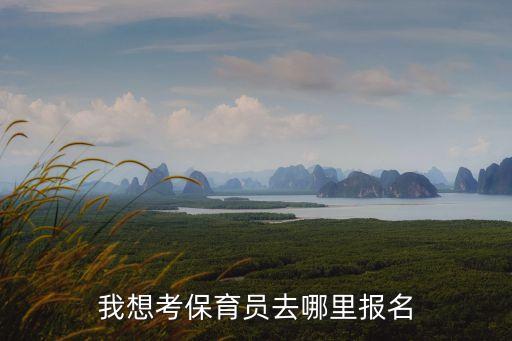 保育证在哪里报名考，谁想考保育员证书啊哪里可以考啊
