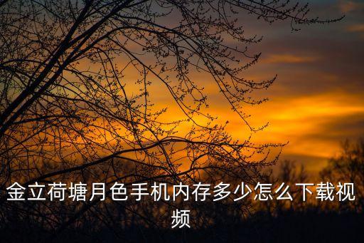 金立荷塘月色手机内存多少怎么下载视频
