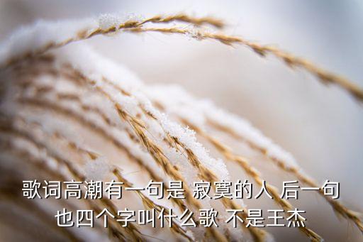 寂寞的人寂寞的歌是什么歌，寂寞的人寂寞的歌歌名是啥