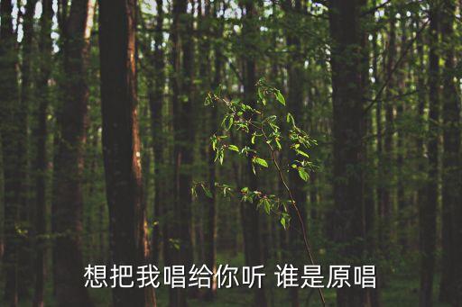想把我唱给你听 谁是原唱
