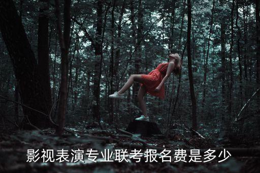 影视表演专业联考报名费是多少