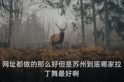 网址都做的那么好但是苏州到底哪家拉丁舞最好啊