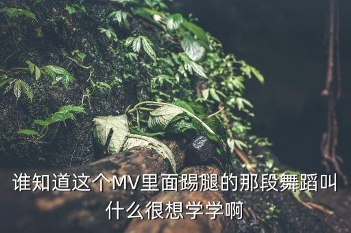 谁知道这个MV里面踢腿的那段舞蹈叫什么很想学学啊