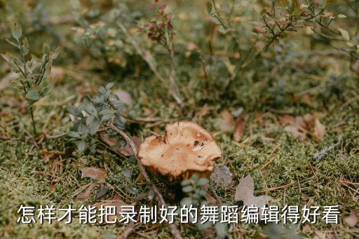 怎样才能把录制好的舞蹈编辑得好看