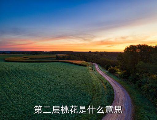 第二层桃花是什么意思