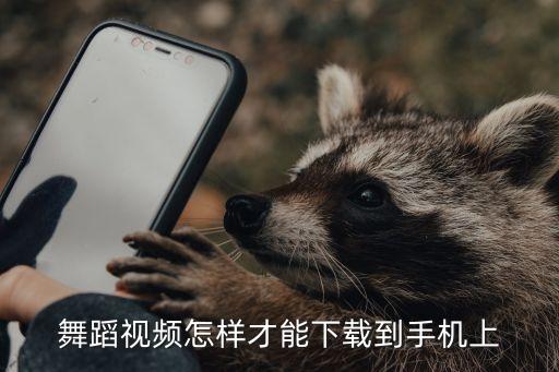 舞蹈视频怎样才能下载到手机上