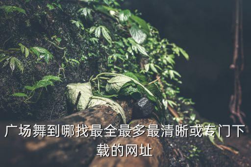 广场舞哪里下载清晰，哪里可以下载到广场舞蹈高清视频