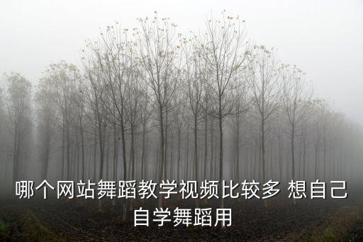 哪个网站舞蹈教学视频比较多 想自己自学舞蹈用