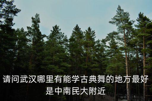 请问武汉哪里有能学古典舞的地方最好是中南民大附近