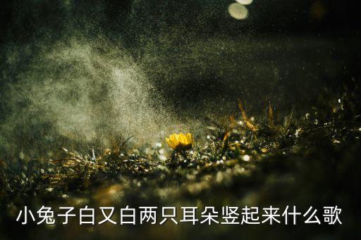 小兔子白又白两只耳朵竖起来什么歌
