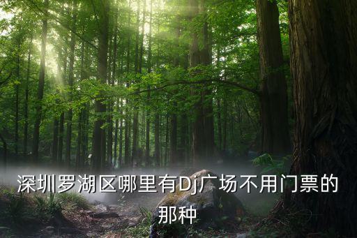 深圳罗湖区哪里有Dj广场不用门票的那种