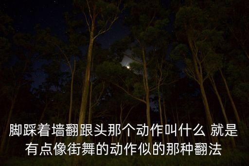 练舞翻跟头叫什么，脚踩着墙翻跟头那个动作叫什么 就是有点像街舞的动作似的那种翻法