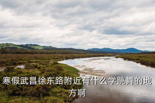 寒假武昌徐东路附近有什么学跳舞的地方啊