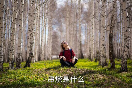 串烧是什么