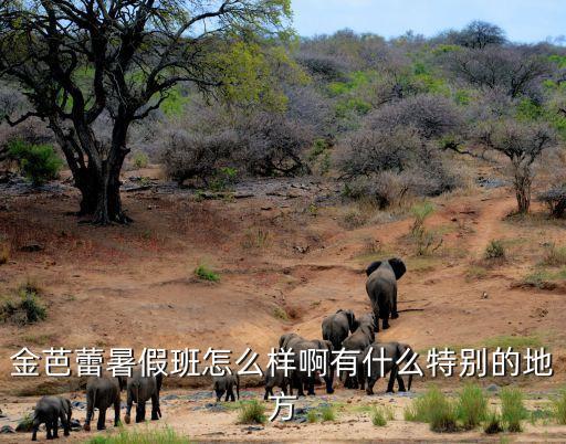 零基础形体舞蹈金金怎么样，常听人家说泉州金老师不错请问金老师怎么样
