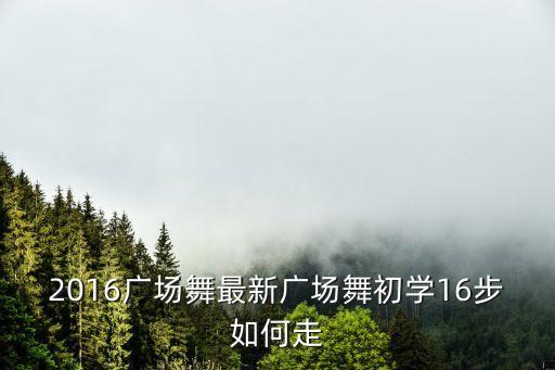 2016广场舞最新广场舞初学16步如何走