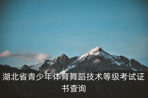 怎么查询民族舞考级，考级证在网上怎么查啊