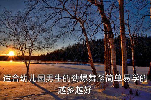 适合幼儿园男生的劲爆舞蹈简单易学的越多越好