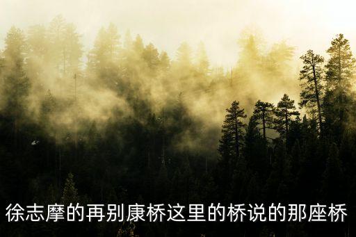 徐志摩的再别康桥这里的桥说的那座桥
