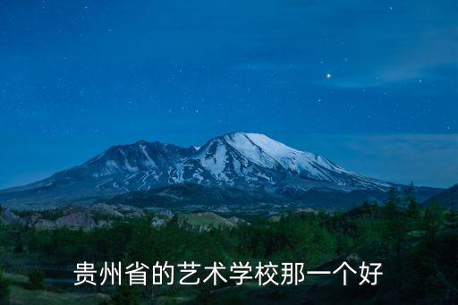 贵州省的艺术学校那一个好