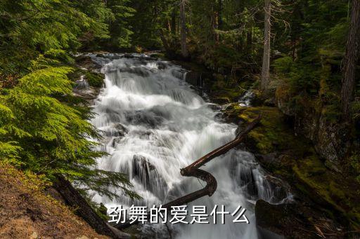 劲舞的爱是什么