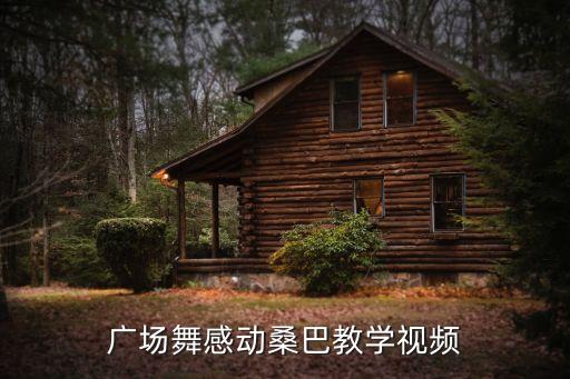 广场舞感动桑巴教学视频