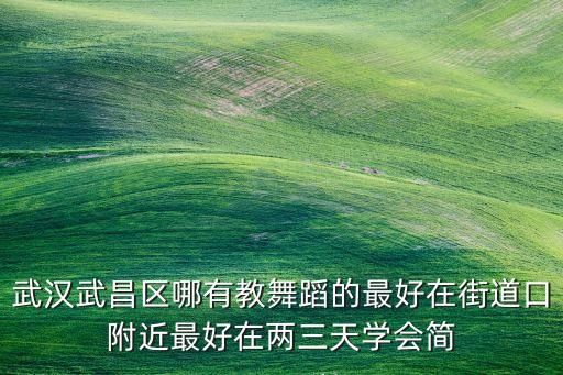 武昌哪里有学舞蹈的，武汉武昌区哪有教舞蹈的最好在街道口附近最好在两三天学会简